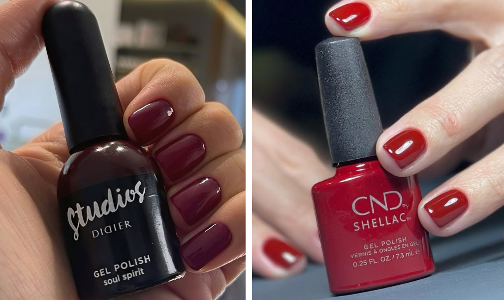 Didier Lab i Shellac jesenje boje gel lakova za nokte